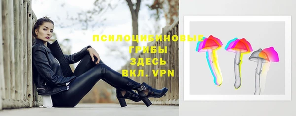 ГАЛЛЮЦИНОГЕННЫЕ ГРИБЫ Вязьма