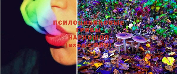 ГАЛЛЮЦИНОГЕННЫЕ ГРИБЫ Вязьма