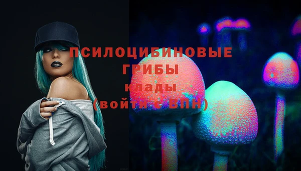 ГАЛЛЮЦИНОГЕННЫЕ ГРИБЫ Вязьма